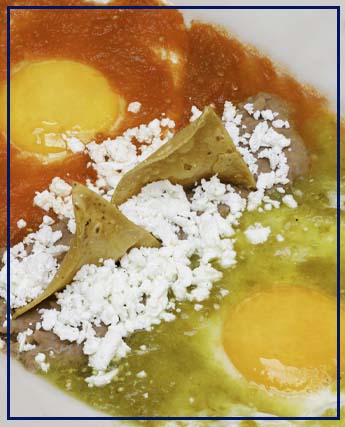 img01.jpg